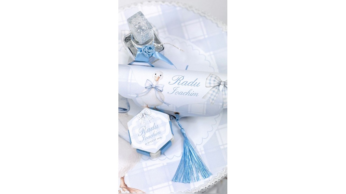 Trusou de botez cu rățuște Silly Goose 21